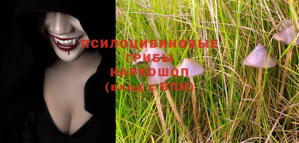бутират Лагань