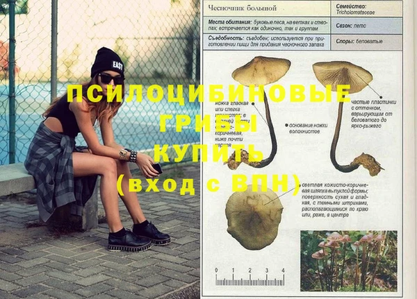 прущий лед Лабытнанги