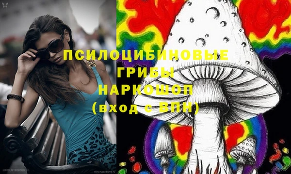 бутират Лагань