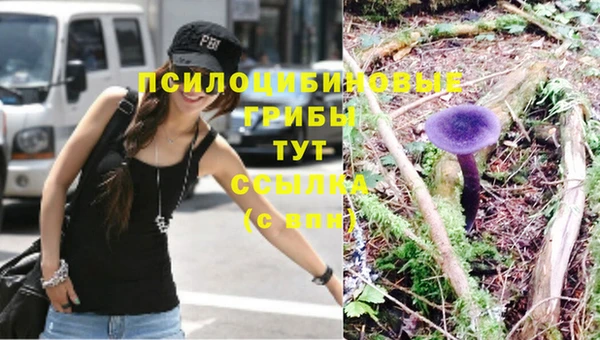 прущий лед Лабытнанги
