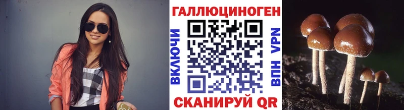 Купить закладки  Слюдянка  Псилоцибиновые грибы Psilocybine cubensis 